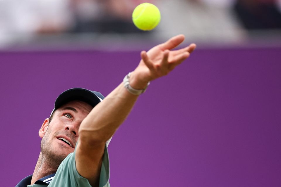 哈梅斯需要 哈梅斯需要